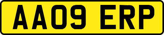 AA09ERP