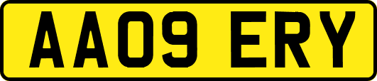 AA09ERY