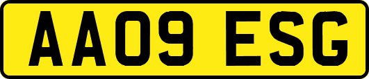 AA09ESG
