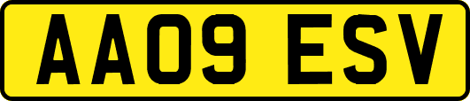 AA09ESV