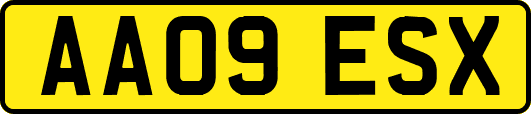 AA09ESX