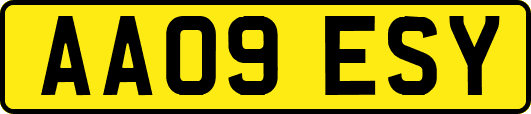 AA09ESY