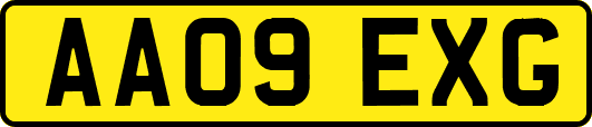 AA09EXG