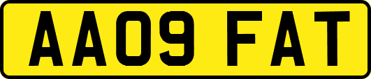 AA09FAT