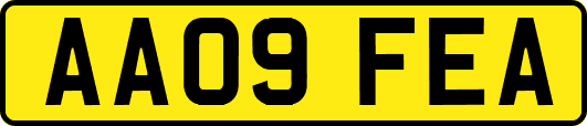 AA09FEA
