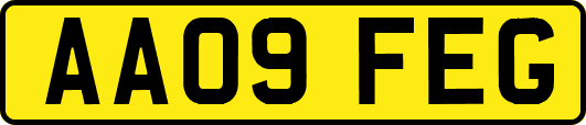 AA09FEG