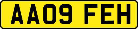 AA09FEH
