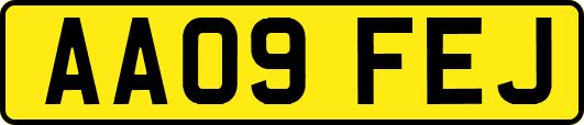 AA09FEJ