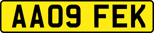 AA09FEK