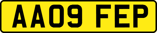 AA09FEP