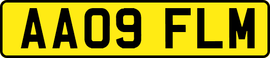 AA09FLM