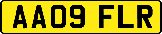 AA09FLR