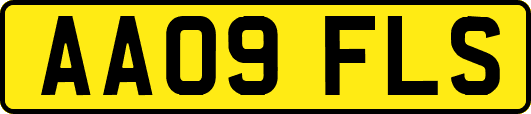 AA09FLS