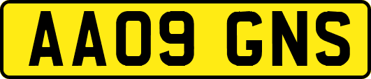 AA09GNS