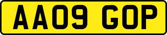 AA09GOP