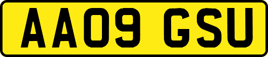 AA09GSU