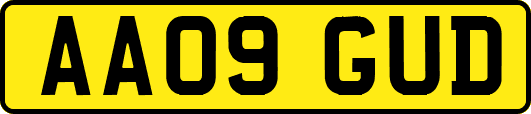 AA09GUD