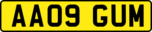 AA09GUM