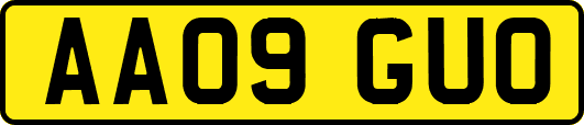 AA09GUO