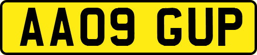 AA09GUP