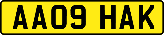 AA09HAK