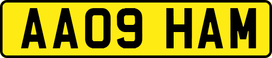AA09HAM