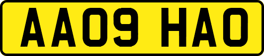 AA09HAO
