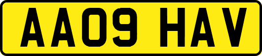 AA09HAV
