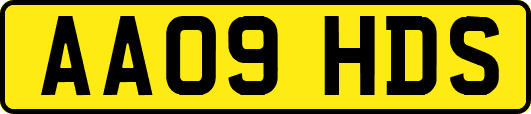 AA09HDS