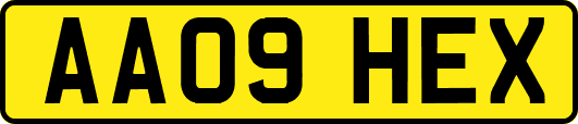 AA09HEX