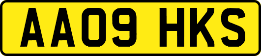 AA09HKS