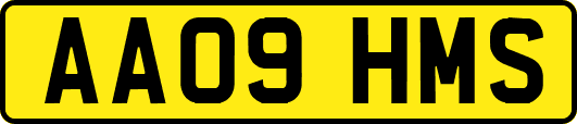 AA09HMS