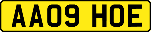 AA09HOE