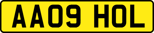 AA09HOL