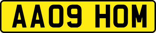 AA09HOM