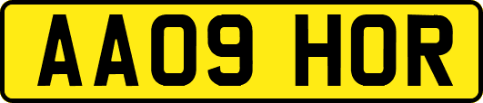 AA09HOR