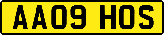 AA09HOS