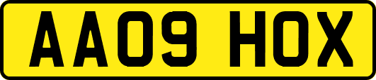 AA09HOX