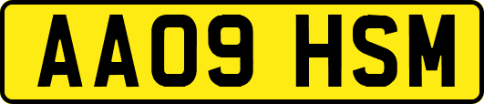 AA09HSM