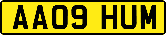 AA09HUM