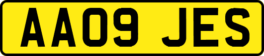 AA09JES