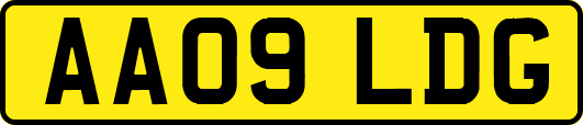 AA09LDG