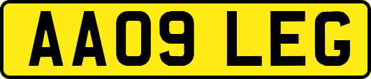 AA09LEG