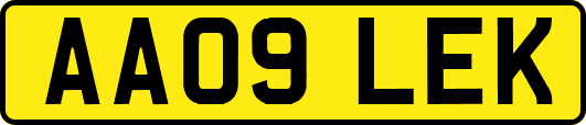 AA09LEK