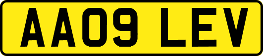 AA09LEV