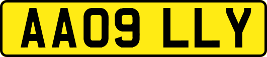 AA09LLY