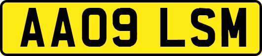 AA09LSM