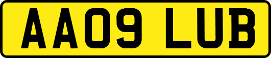 AA09LUB
