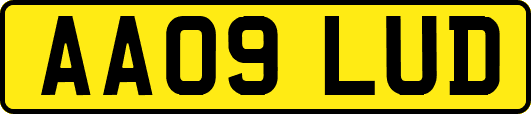AA09LUD
