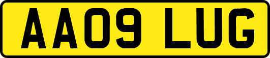 AA09LUG